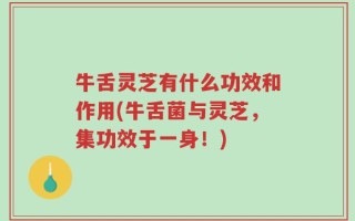 牛舌灵芝有什么功效和作用(牛舌菌与灵芝，集功效于一身！)