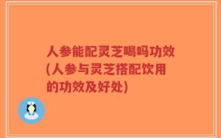 人参能配灵芝喝吗功效(人参与灵芝搭配饮用的功效及好处)