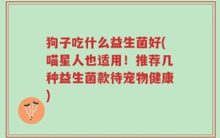 狗子吃什么益生菌好(喵星人也适用！推荐几种益生菌款待宠物健康)