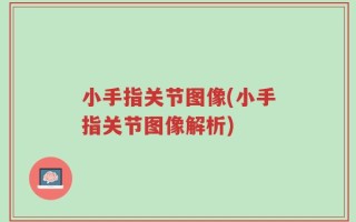 小手指关节图像(小手指关节图像解析)