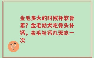 金毛多大的时候补软骨素？金毛幼犬吃骨头补钙，金毛补钙几天吃一次