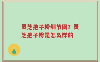 灵芝孢子粉细节图？灵芝孢子粉是怎么样的
