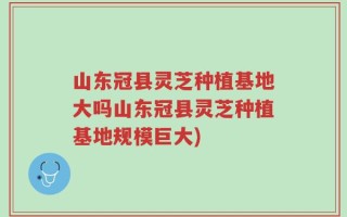 山东冠县灵芝种植基地大吗山东冠县灵芝种植基地规模巨大)