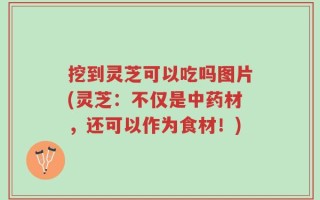 挖到灵芝可以吃吗图片(灵芝：不仅是中药材，还可以作为食材！)