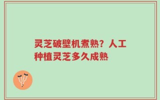 灵芝破壁机煮熟？人工种植灵芝多久成熟