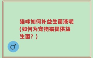 猫咪如何补益生菌液呢(如何为宠物猫提供益生菌？)