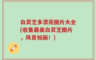 白灵芝多漂亮图片大全(收集最美白灵芝图片，风景如画！)