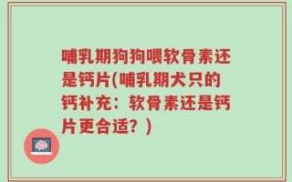 哺乳期狗狗喂软骨素还是钙片(哺乳期犬只的钙补充：软骨素还是钙片更合适？)