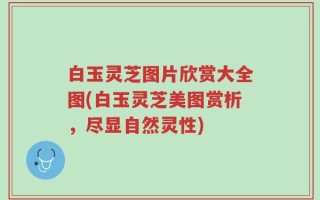 白玉灵芝图片欣赏大全图(白玉灵芝美图赏析，尽显自然灵性)