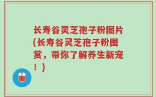 长寿谷灵芝孢子粉图片(长寿谷灵芝孢子粉图赏，带你了解养生新宠！)