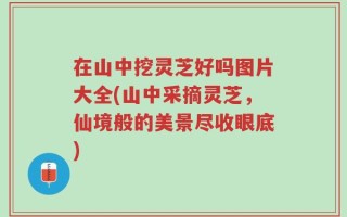 在山中挖灵芝好吗图片大全(山中采摘灵芝，仙境般的美景尽收眼底)