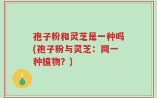 孢子粉和灵芝是一种吗(孢子粉与灵芝：同一种植物？)