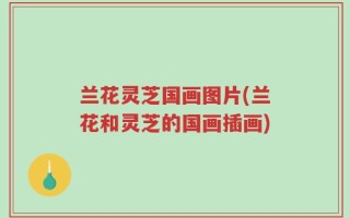 兰花灵芝国画图片(兰花和灵芝的国画插画)