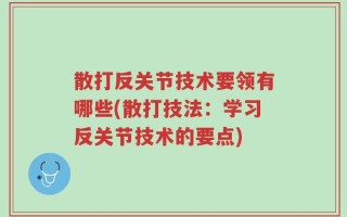 散打反关节技术要领有哪些(散打技法：学习反关节技术的要点)