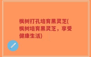 枫树打孔培育黑灵芝(枫树培育黑灵芝，享受健康生活)