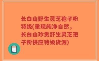 长白山野生灵芝孢子粉特级(重现纯净自然，长白山珍贵野生灵芝孢子粉供应特级货源)