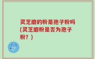 灵芝磨的粉是孢子粉吗(灵芝磨粉是否为孢子粉？)