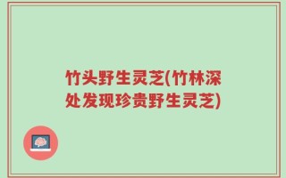 竹头野生灵芝(竹林深处发现珍贵野生灵芝)