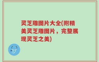 灵芝雕图片大全(附精美灵芝雕图片，完整展现灵芝之美)