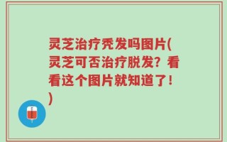 灵芝治疗秃发吗图片(灵芝可否治疗脱发？看看这个图片就知道了！)