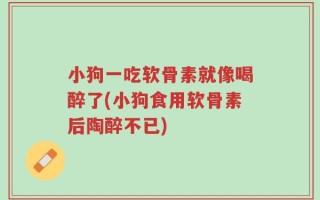 小狗一吃软骨素就像喝醉了(小狗食用软骨素后陶醉不已)