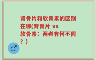 肾骨片和软骨素的区别在哪(肾骨片 vs 软骨素：两者有何不同？)