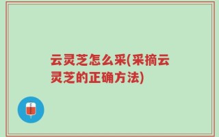 云灵芝怎么采(采摘云灵芝的正确方法)