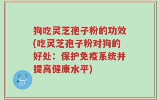 狗吃灵芝孢子粉的功效(吃灵芝孢子粉对狗的好处：保护免疫系统并提高健康水平)