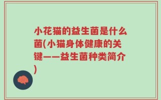 小花猫的益生菌是什么菌(小猫身体健康的关键——益生菌种类简介)