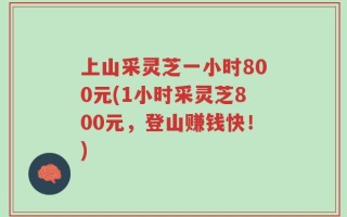上山采灵芝一小时800元(1小时采灵芝800元，登山赚钱快！)