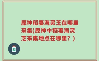 原神稻妻海灵芝在哪里采集(原神中稻妻海灵芝采集地点在哪里？)