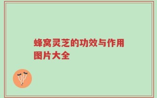 蜂窝灵芝的功效与作用图片大全