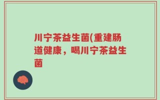川宁茶益生菌(重建肠道健康，喝川宁茶益生菌