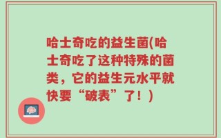 哈士奇吃的益生菌(哈士奇吃了这种特殊的菌类，它的益生元水平就快要“破表”了！)