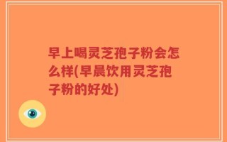 早上喝灵芝孢子粉会怎么样(早晨饮用灵芝孢子粉的好处)