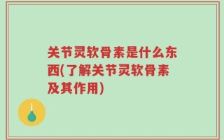 关节灵软骨素是什么东西(了解关节灵软骨素及其作用)