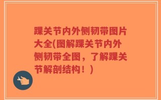 踝关节内外侧韧带图片大全(图解踝关节内外侧韧带全图，了解踝关节解剖结构！)