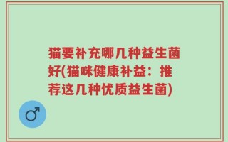 猫要补充哪几种益生菌好(猫咪健康补益：推荐这几种优质益生菌)