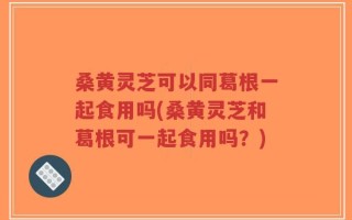 桑黄灵芝可以同葛根一起食用吗(桑黄灵芝和葛根可一起食用吗？)