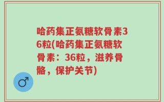 哈药集正氨糖软骨素36粒(哈药集正氨糖软骨素：36粒，滋养骨骼，保护关节)