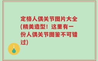 定格人偶关节图片大全(精美造型！这里有一份人偶关节图鉴不可错过)