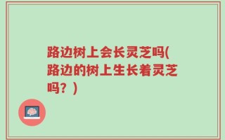 路边树上会长灵芝吗(路边的树上生长着灵芝吗？)