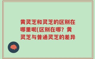 黄灵芝和灵芝的区别在哪里呢(区别在哪？黄灵芝与普通灵芝的差异