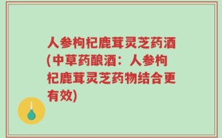 人参枸杞鹿茸灵芝药酒(中草药酿酒：人参枸杞鹿茸灵芝药物结合更有效)