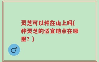 灵芝可以种在山上吗(种灵芝的适宜地点在哪里？)