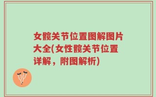 女髋关节位置图解图片大全(女性髋关节位置详解，附图解析)