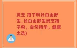 灵芝 孢子粉长白山野生_长白山野生灵芝孢子粉，自然精华，健康之选)