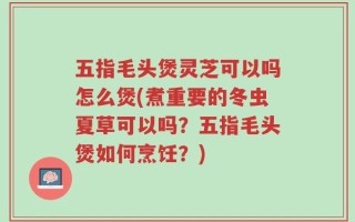 五指毛头煲灵芝可以吗怎么煲(煮重要的冬虫夏草可以吗？五指毛头煲如何烹饪？)