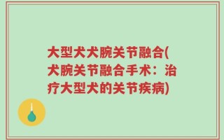 大型犬犬腕关节融合(犬腕关节融合手术：治疗大型犬的关节疾病)