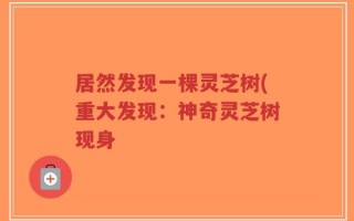 居然发现一棵灵芝树(重大发现：神奇灵芝树现身